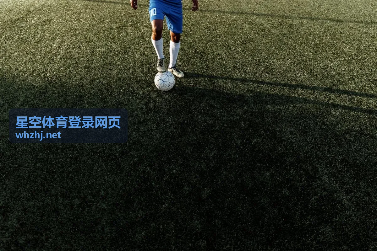 星空体育登录网页在浏览器中的登录界面示意画面