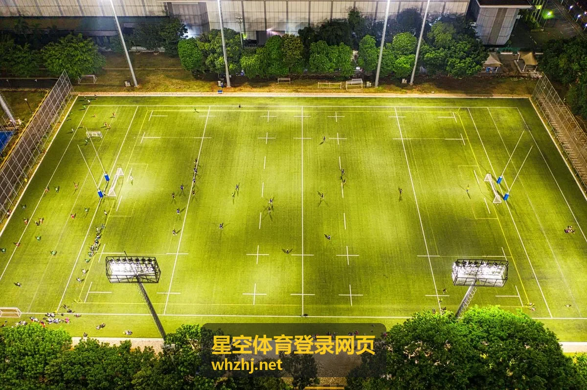 星空体育登录网页密码找回流程配图