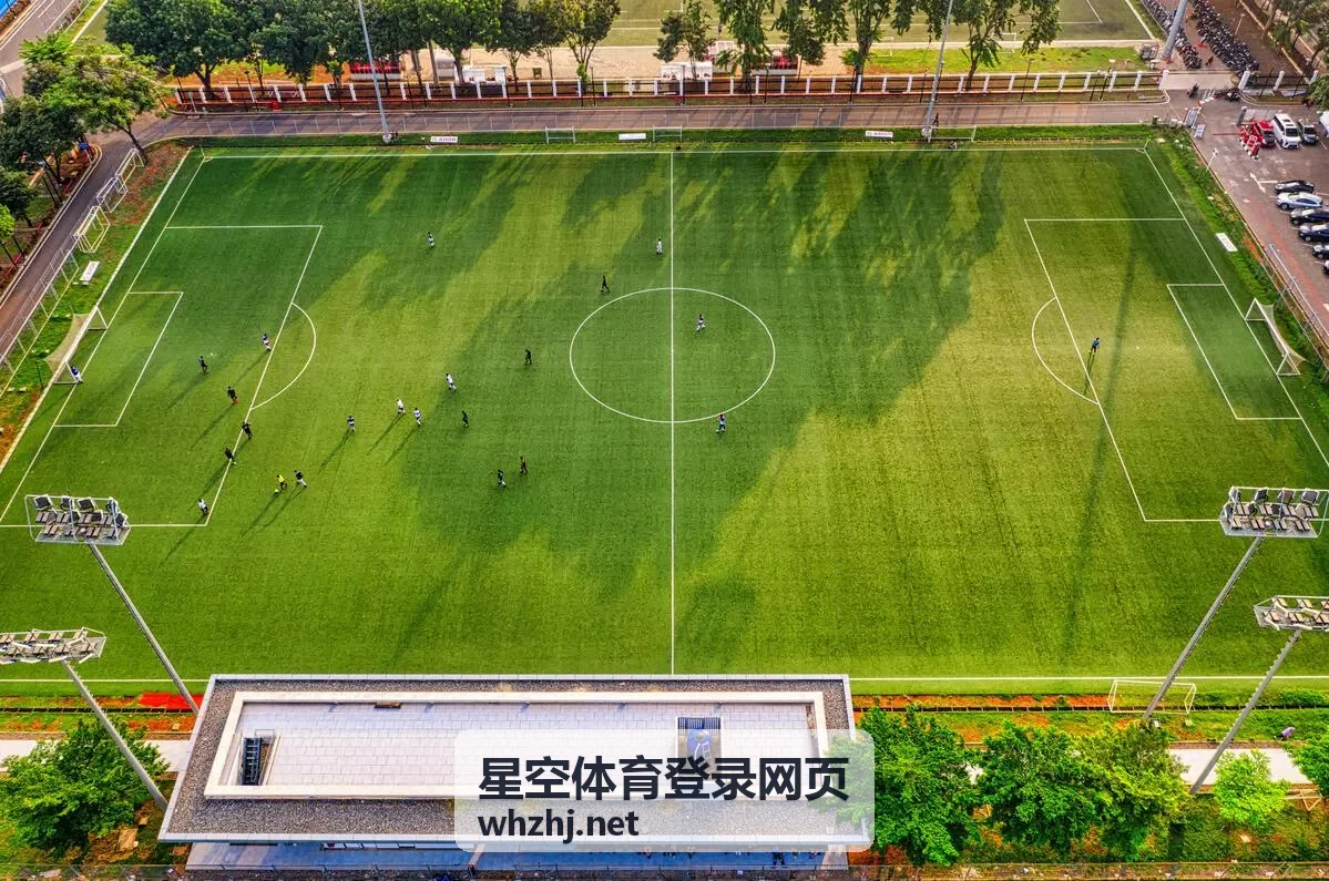 星空体育登录网页多设备登录注意事项配图